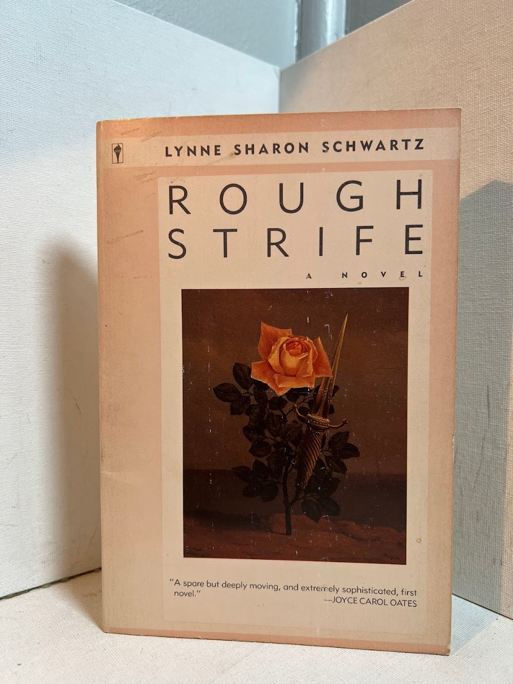 Rough Strife by Lynne Sharon Schwartz