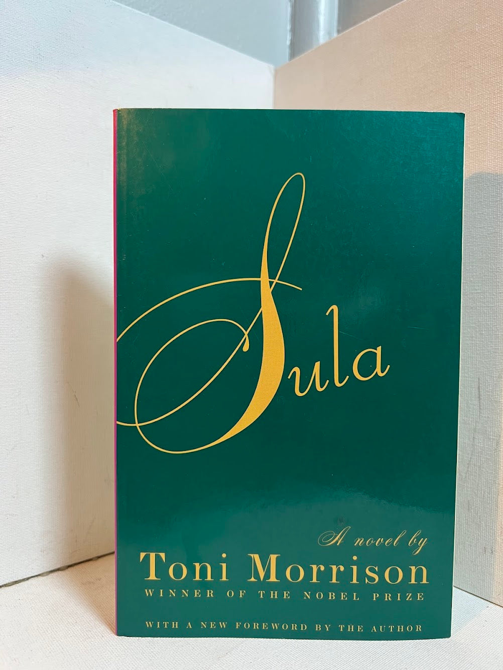 Sula by Toni Morrison