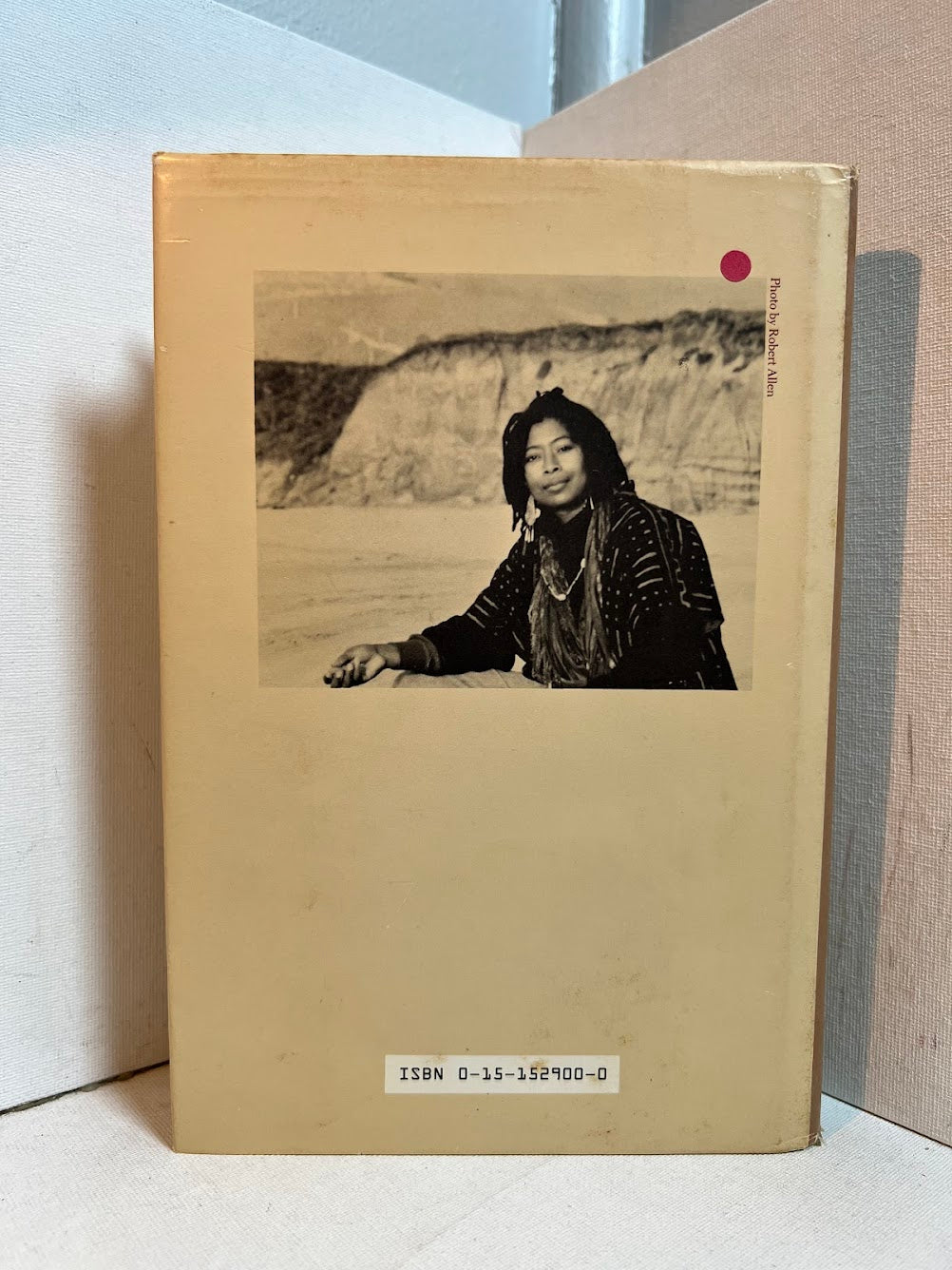 Living By The Word by Alice Walker