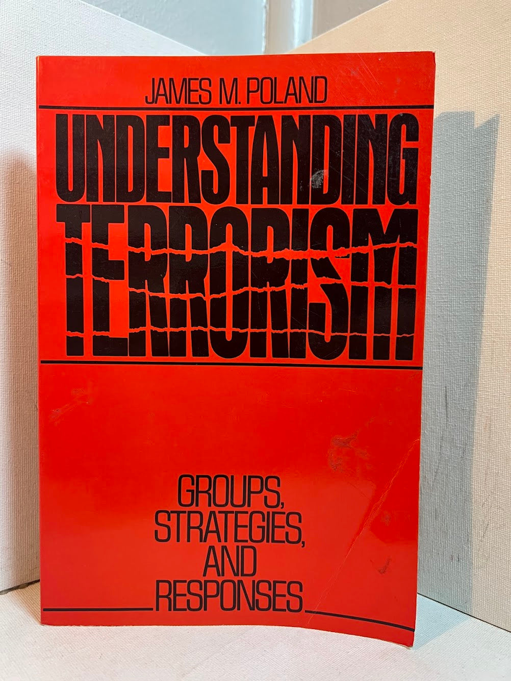 Understanding Terrorism by James M. Poland