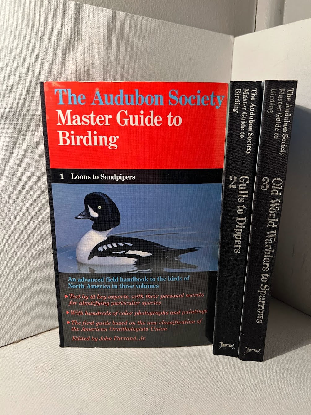 The Audubon Society Master Guide to Birding