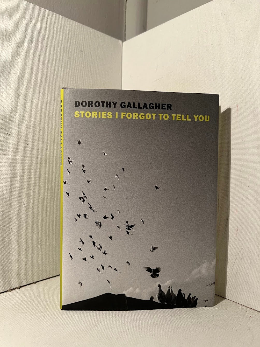 Stories I Forgot To Tell You by Dorothy Gallagher