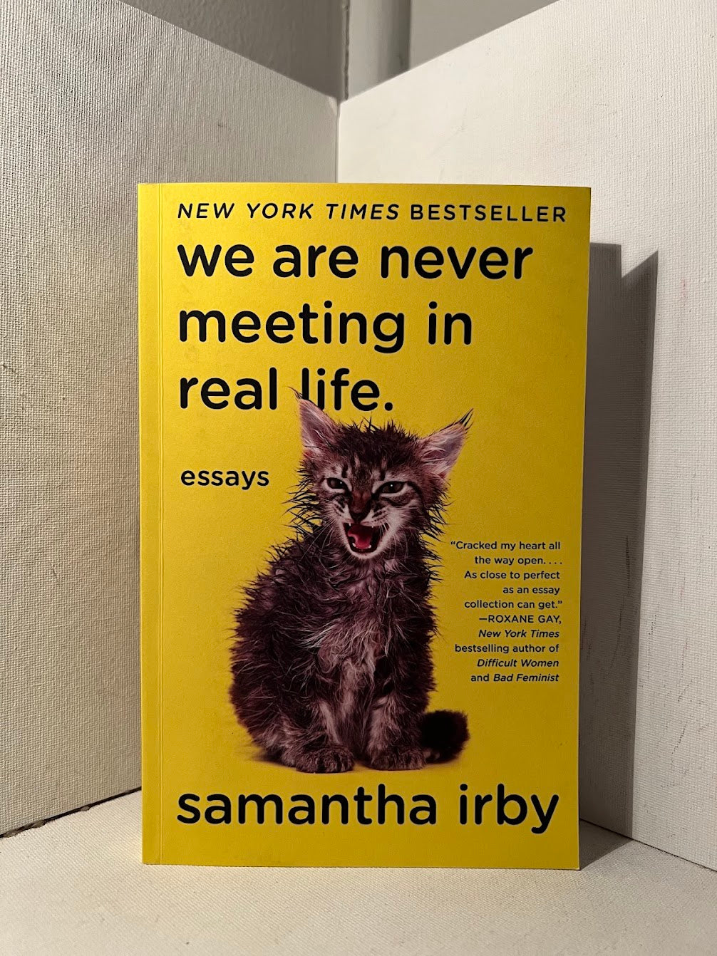 We Are Never Meeting in Real Life by Samantha Irby