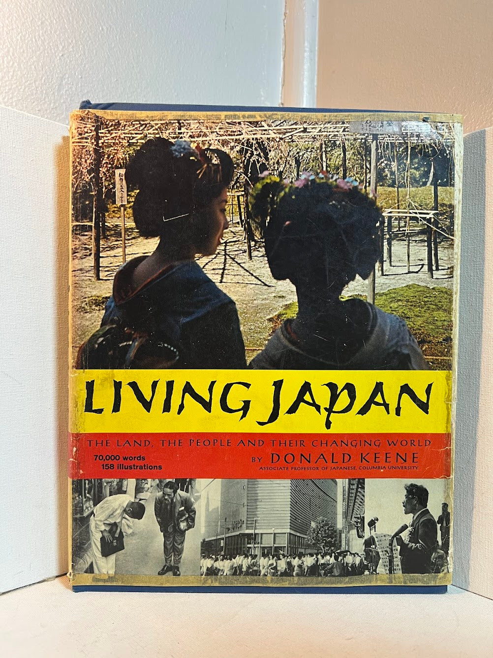 Living Japan by Donald Keene