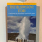 The Yellowstone Story by Aubrey L. Haines