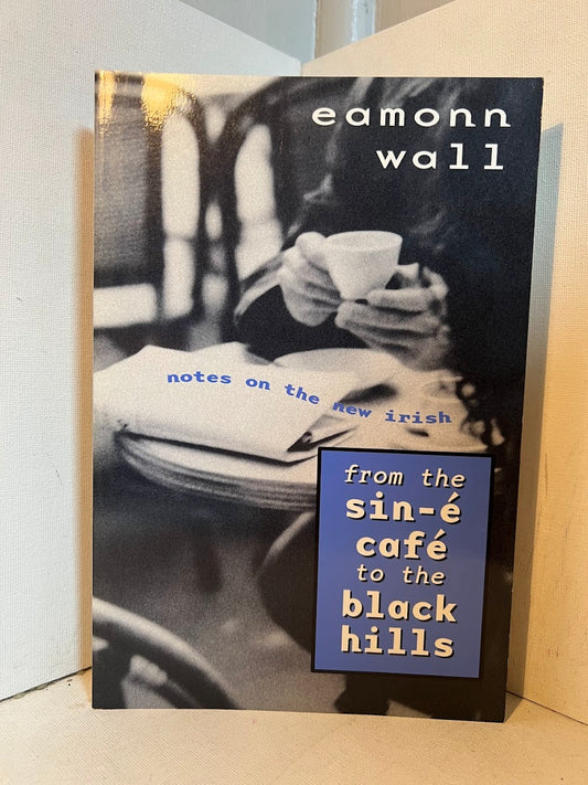 From the Sin-e Cafe to the Black Hills by Eamonn Wall