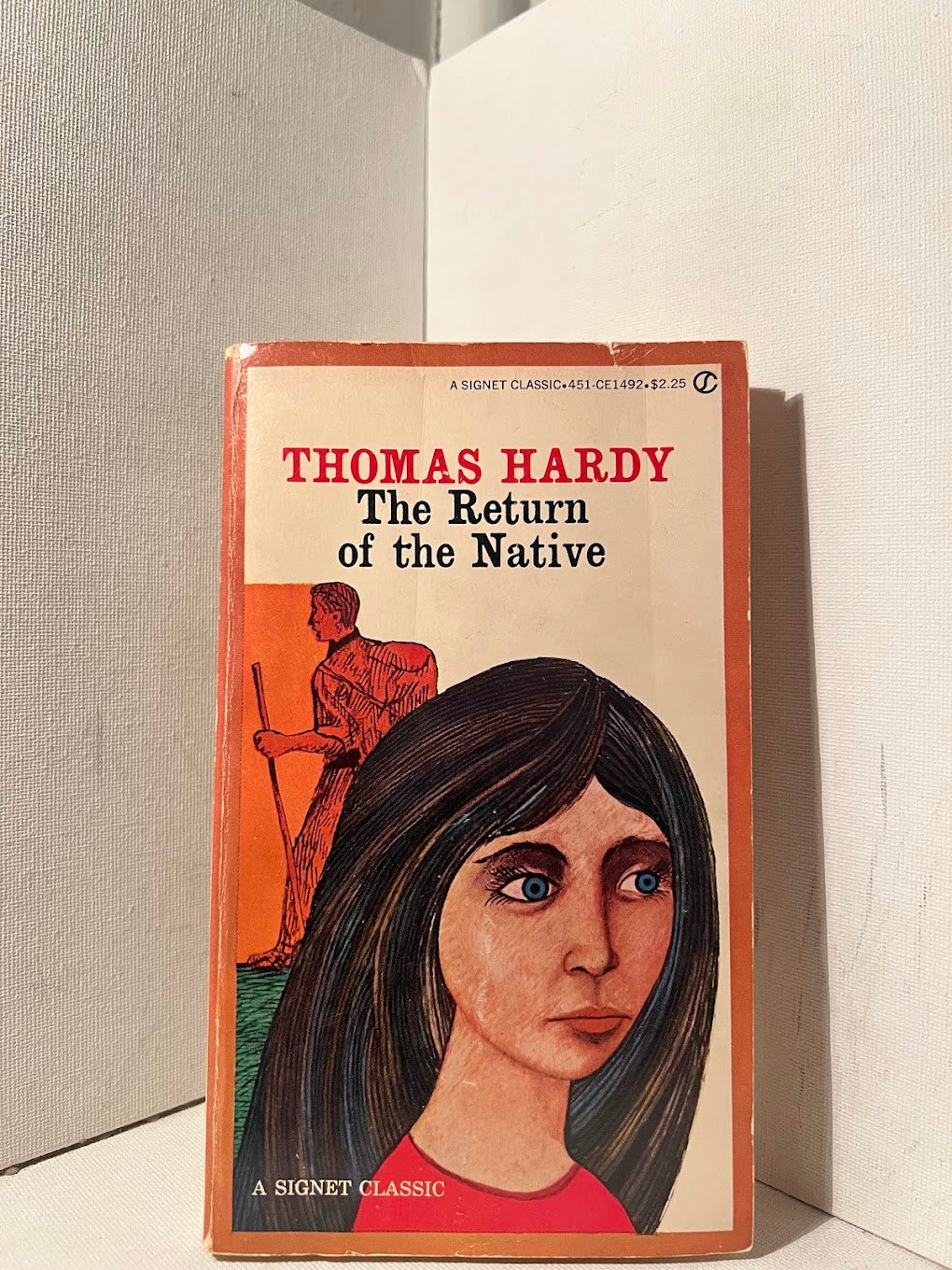 The Return of the Native by Thomas Hardy