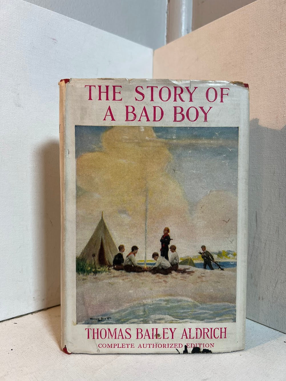 The Story of a Bad Boy by Thomas Bailey Aldrich