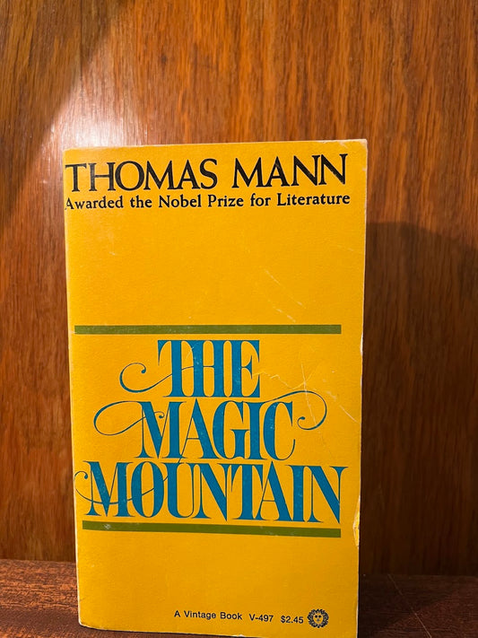 The Magic Mountain by Thomas Mann