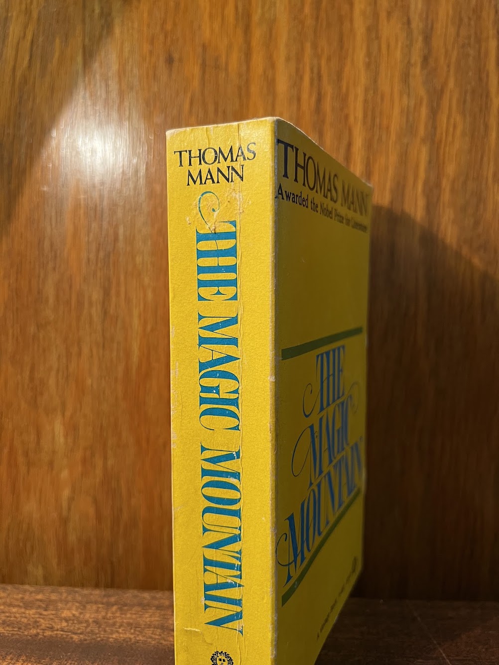 The Magic Mountain by Thomas Mann