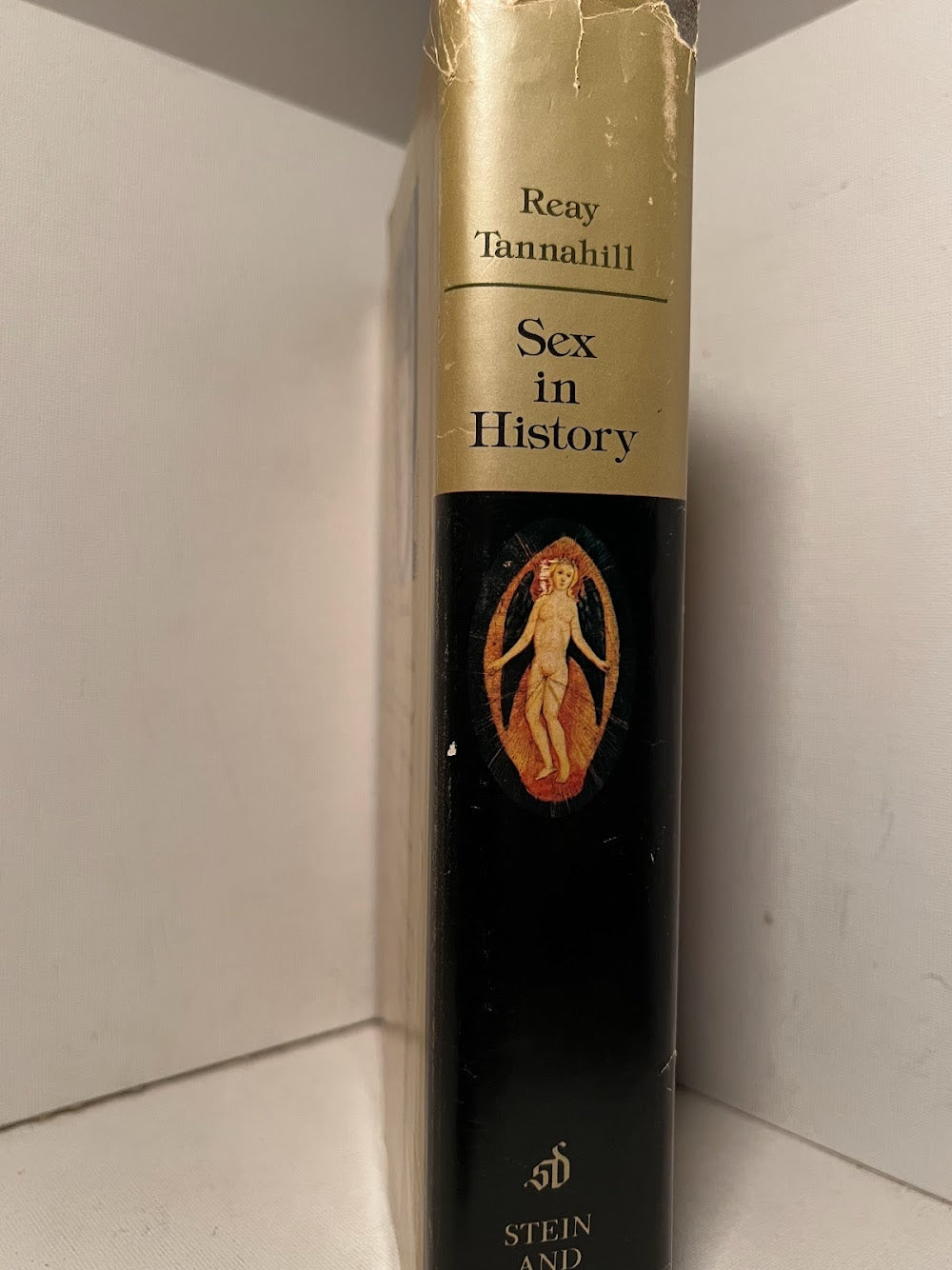 Sex in History by Reay Tannahill