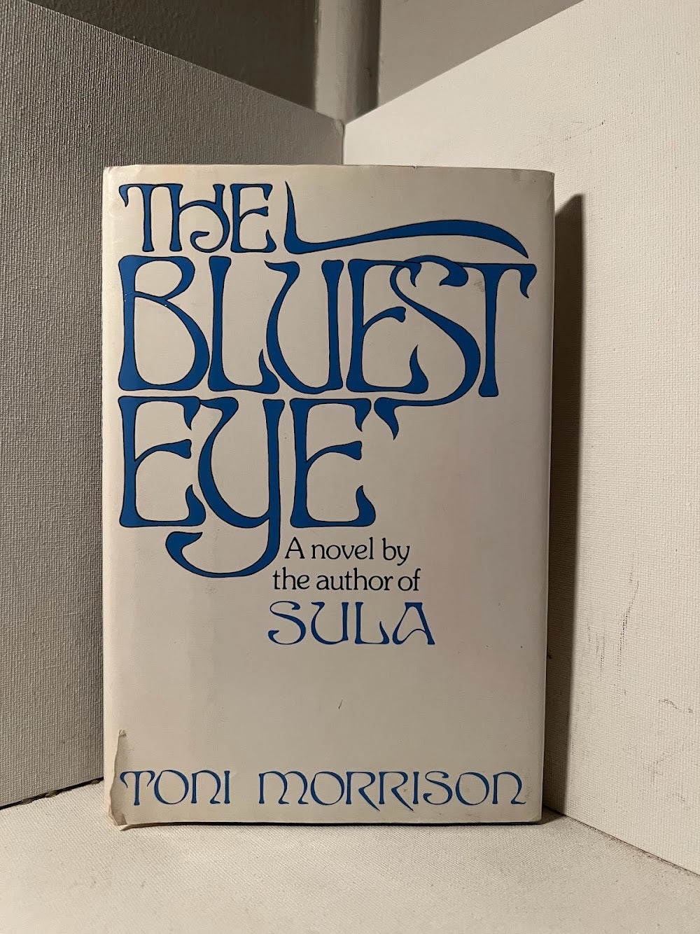 The Bluest Eye by Toni Morrison