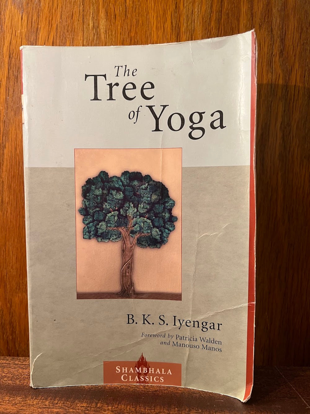 The Tree of Yoga by B.K.S. Iyengar