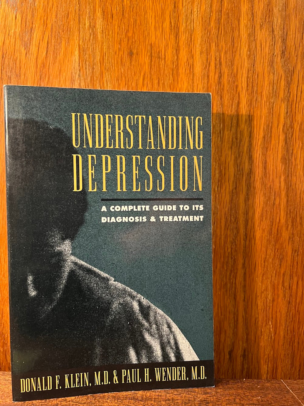 Understanding Depression by Donald Klein and Paul Wender