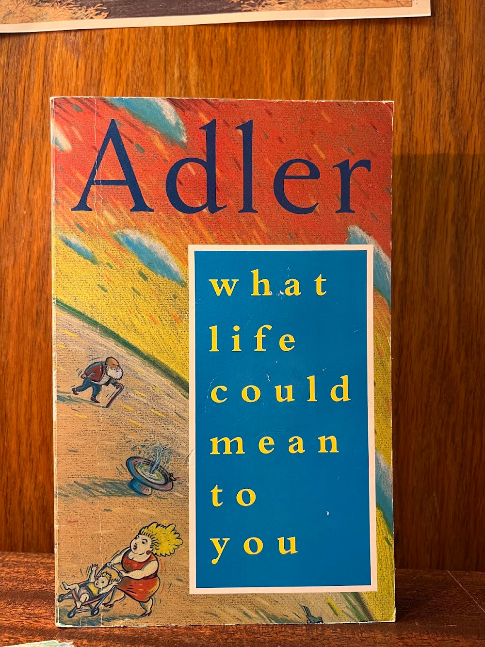 What Life Could Mean to You by Alfred Adler