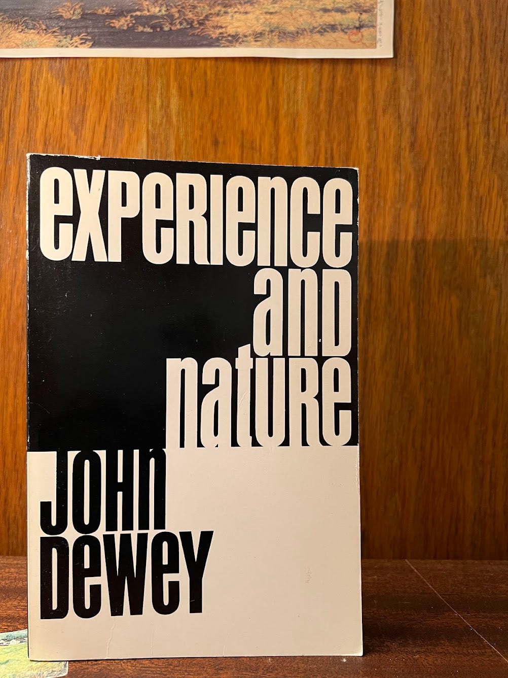 Experience and Nature by John Dewey