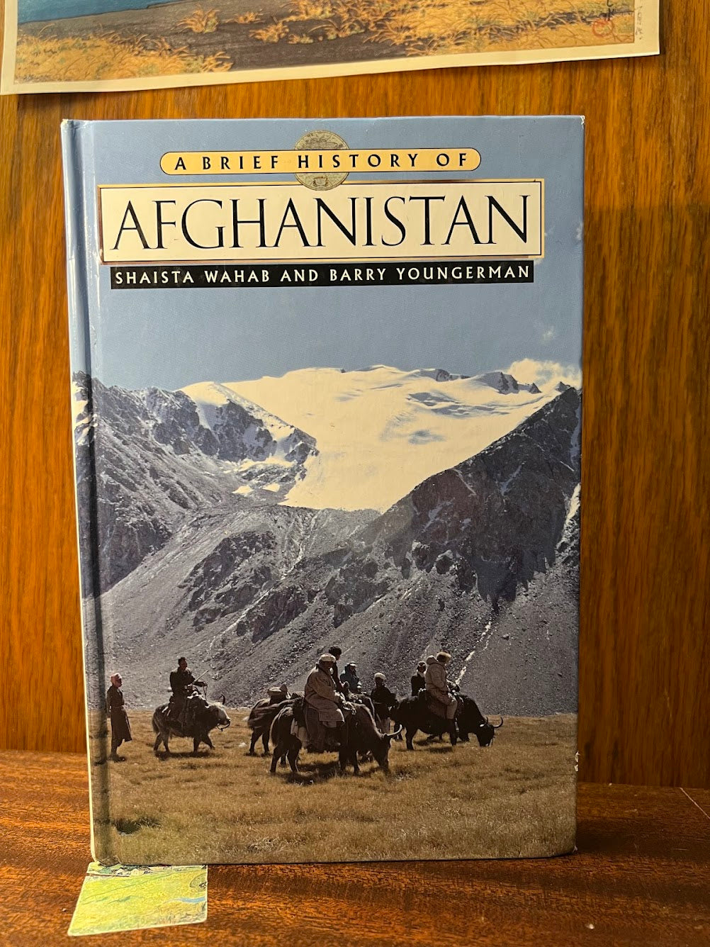 A Brief History of Afghanistan by Shaista Wahab and Barry Youngerman