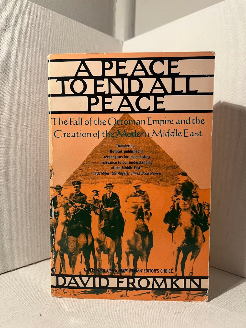 A Peace to End All Peace by David Fromkin