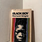 Black Boy by Richard Wright