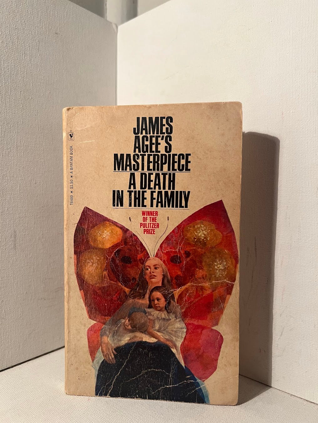 A Death in the Family by James Agee