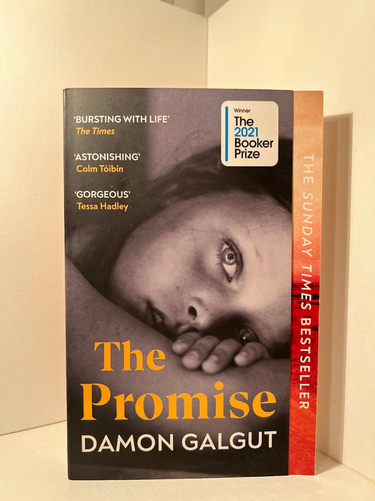 The Promise Damon Galgut