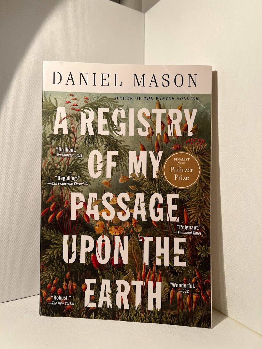 A Registry of My Passage Upon the Earth by Daniel Mason