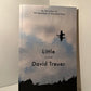 Little by David Treuer