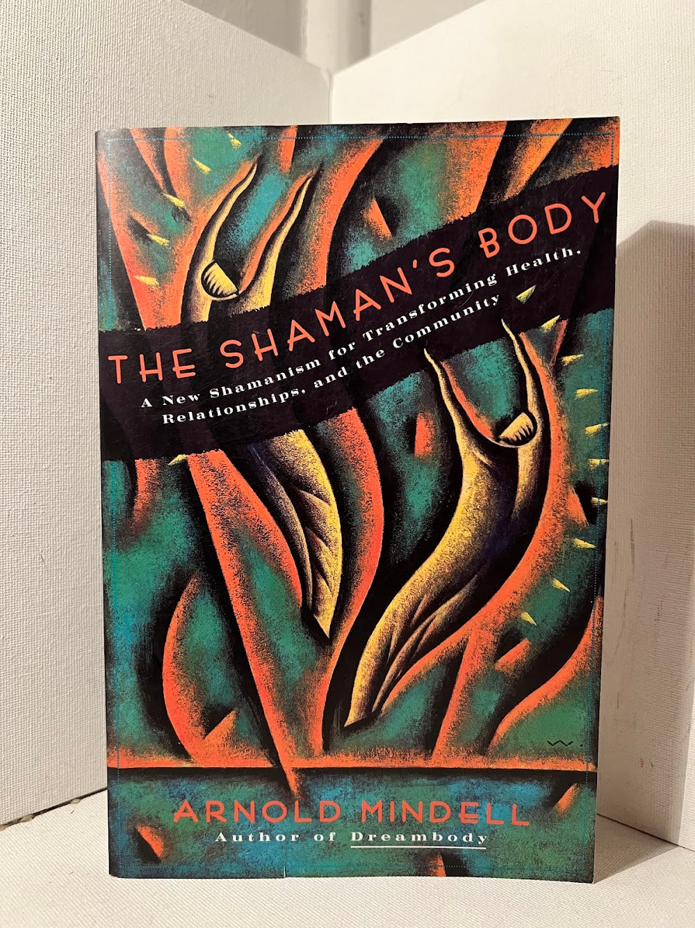 The Shaman's Body by Arnold Mindell