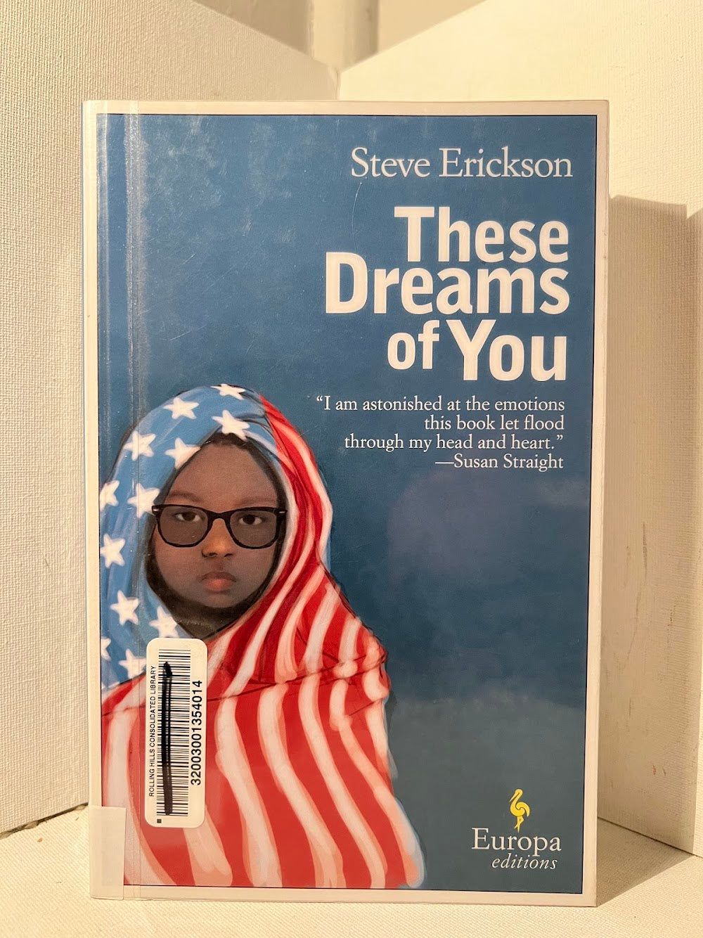 These Dreams of You by Steve Erickson