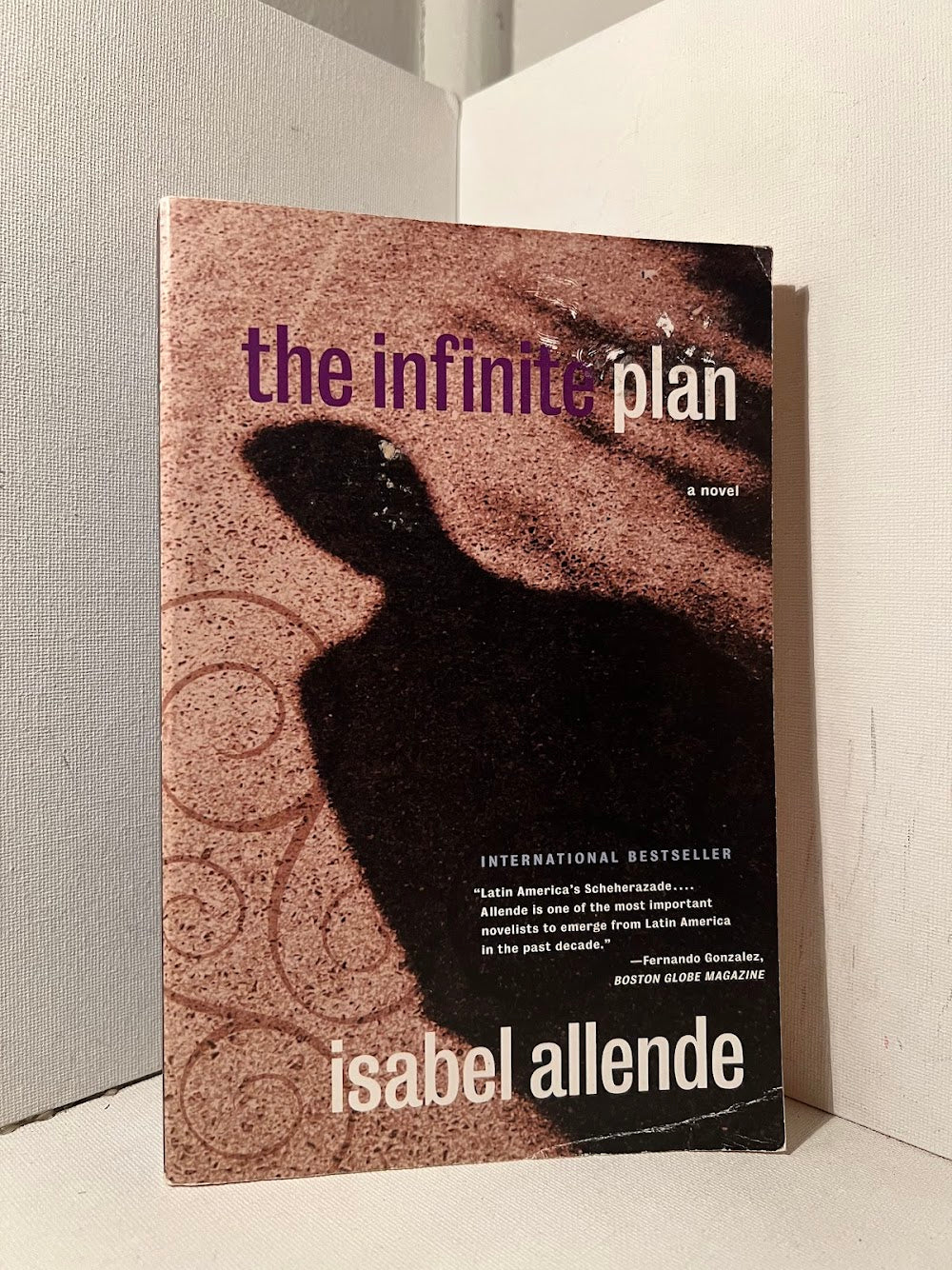 The Infinite Plan by Isabel Allende