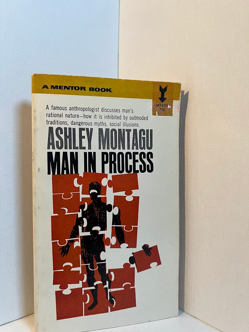 Man in Process by Ashley Montagu