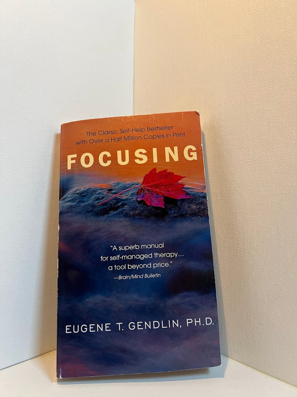 Focusing by Eugene T. Gendlin