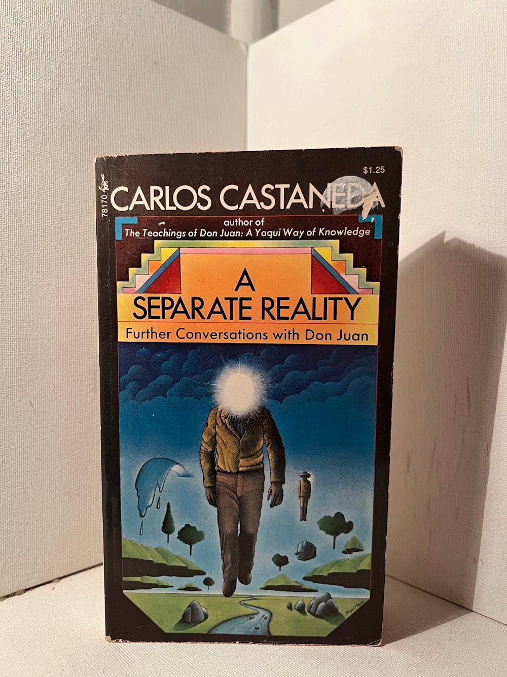 A Separate Reality by Carlos Castaneda