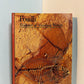Fossils - Evidence of Vanished Worlds by Yvette Gayrard-Valy