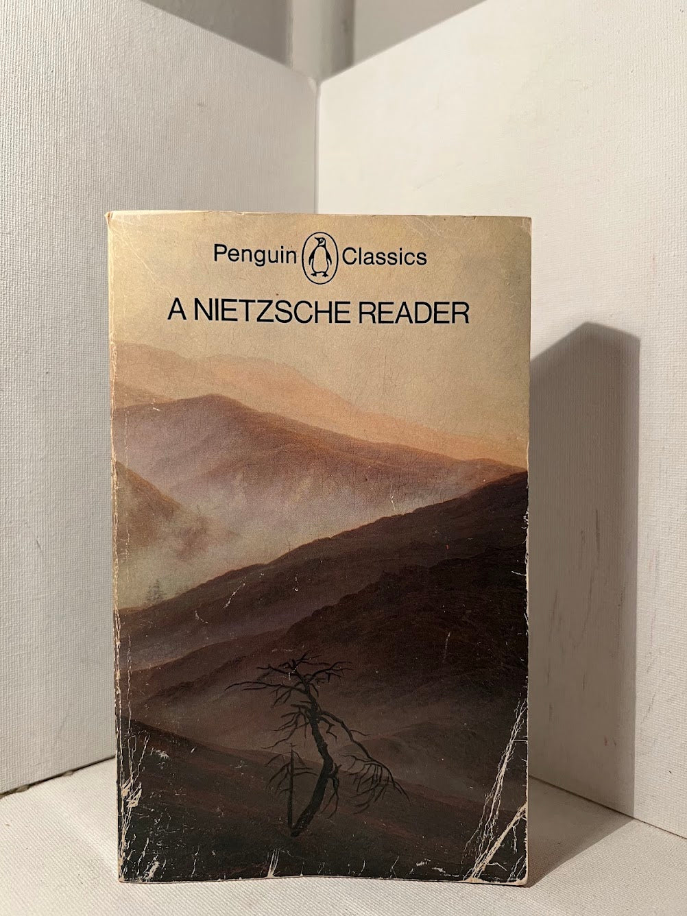 A Nietzsche Reader