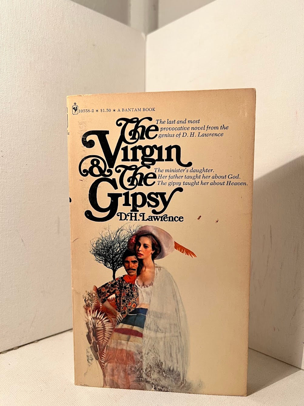 The Virgin & The Gypsy by D.H. Lawrence