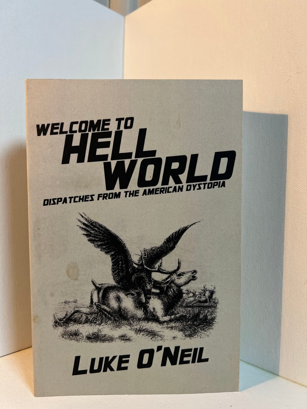 Welcome to Hell World - Dispatches from the American Dystopia by Luke O'Neil