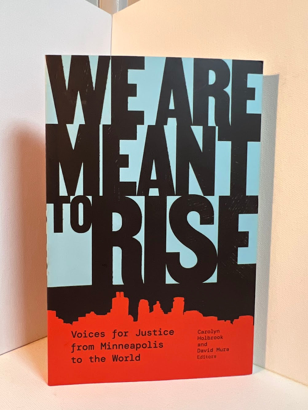 We Are Meant to Rise edited by Carolyn Holbrook and David Mura