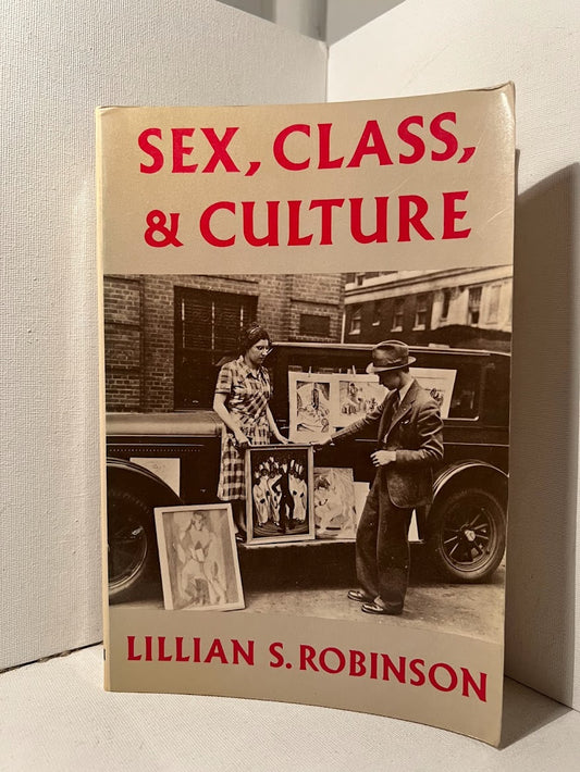 Sex, Class, & Culture by Lillian S. Robinson