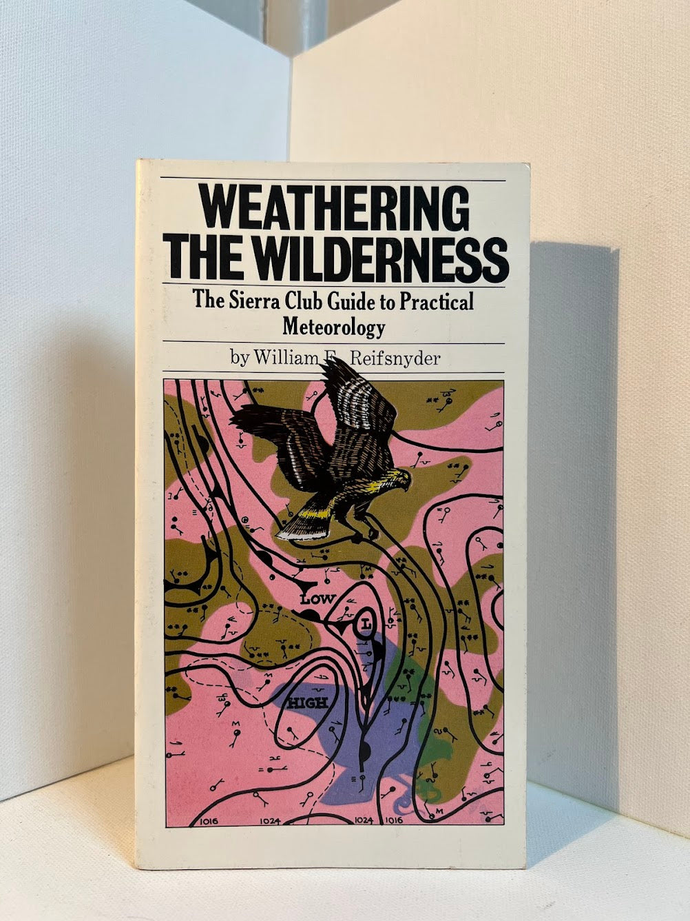 Weathering the Wilderness by William Reifsnyder