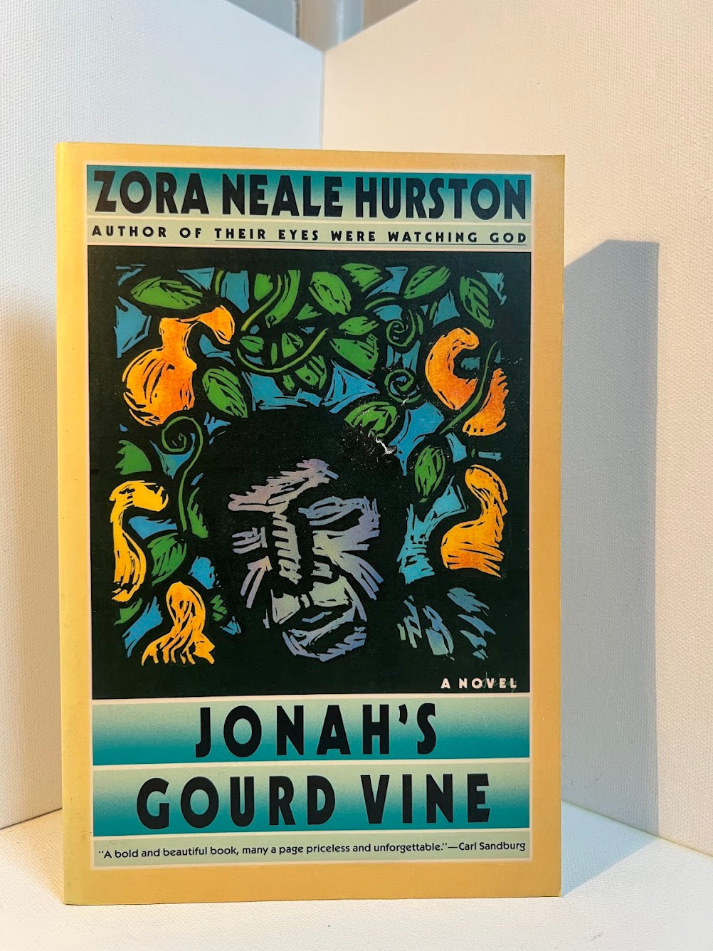 Jonah's Gourd Vine by Zora Neale Hurston