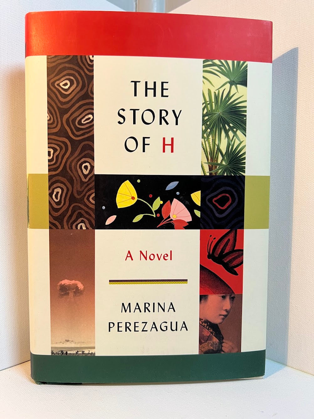 The Story of H by Marina Perezagua