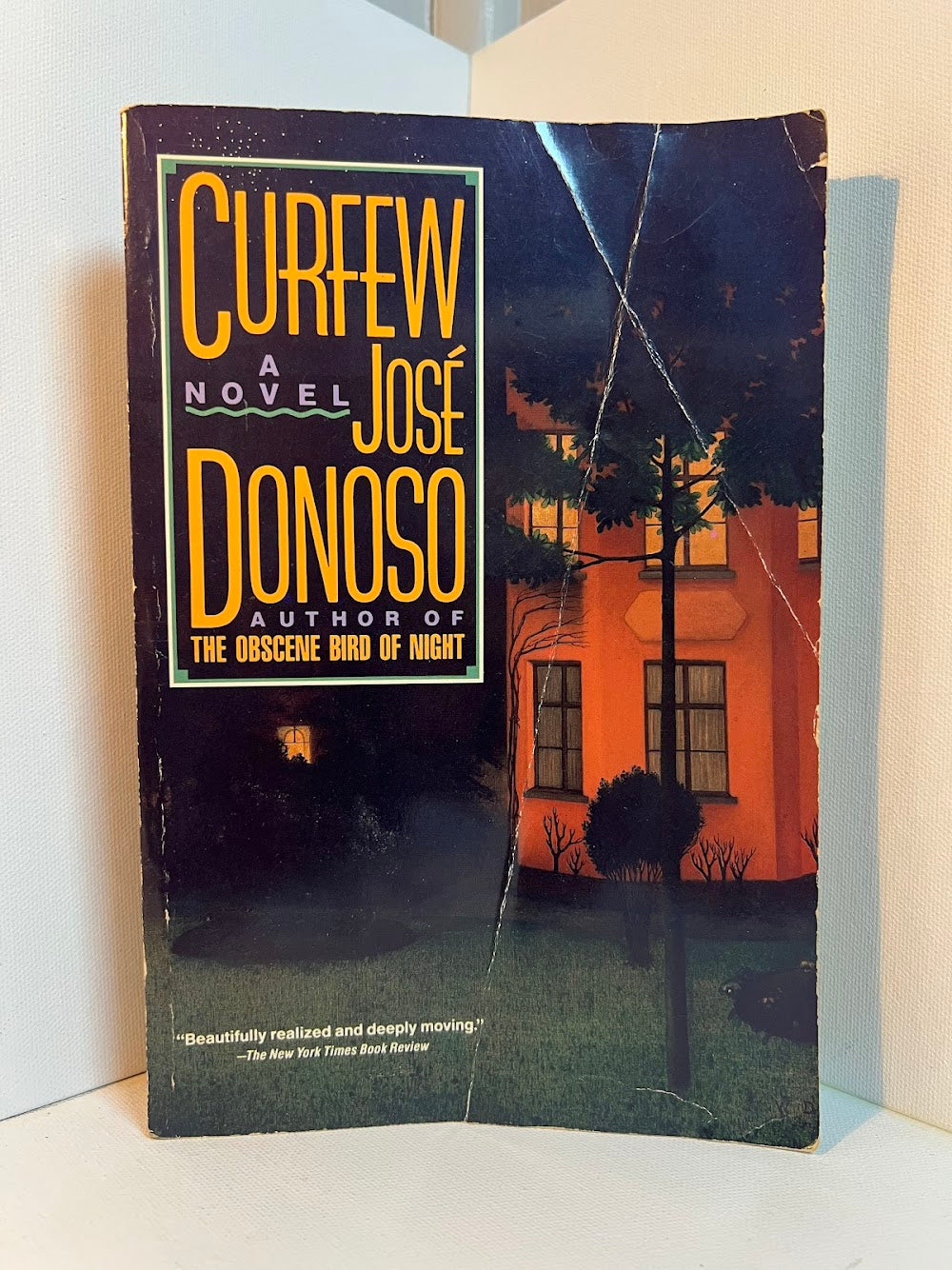 Curfew by Jose Donoso