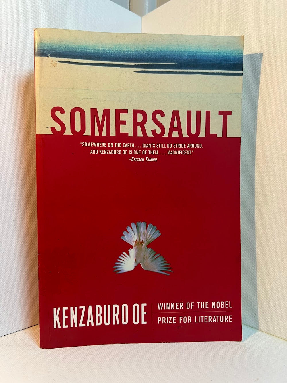 Somersault by Kenzaburo Oe