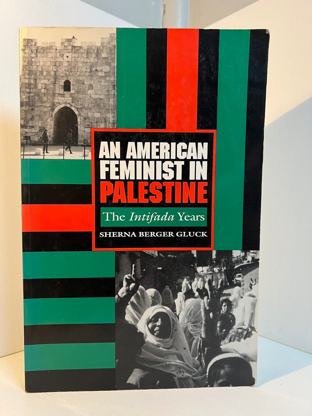 An American Feminist in Palestine by Sherna Berger Gluck