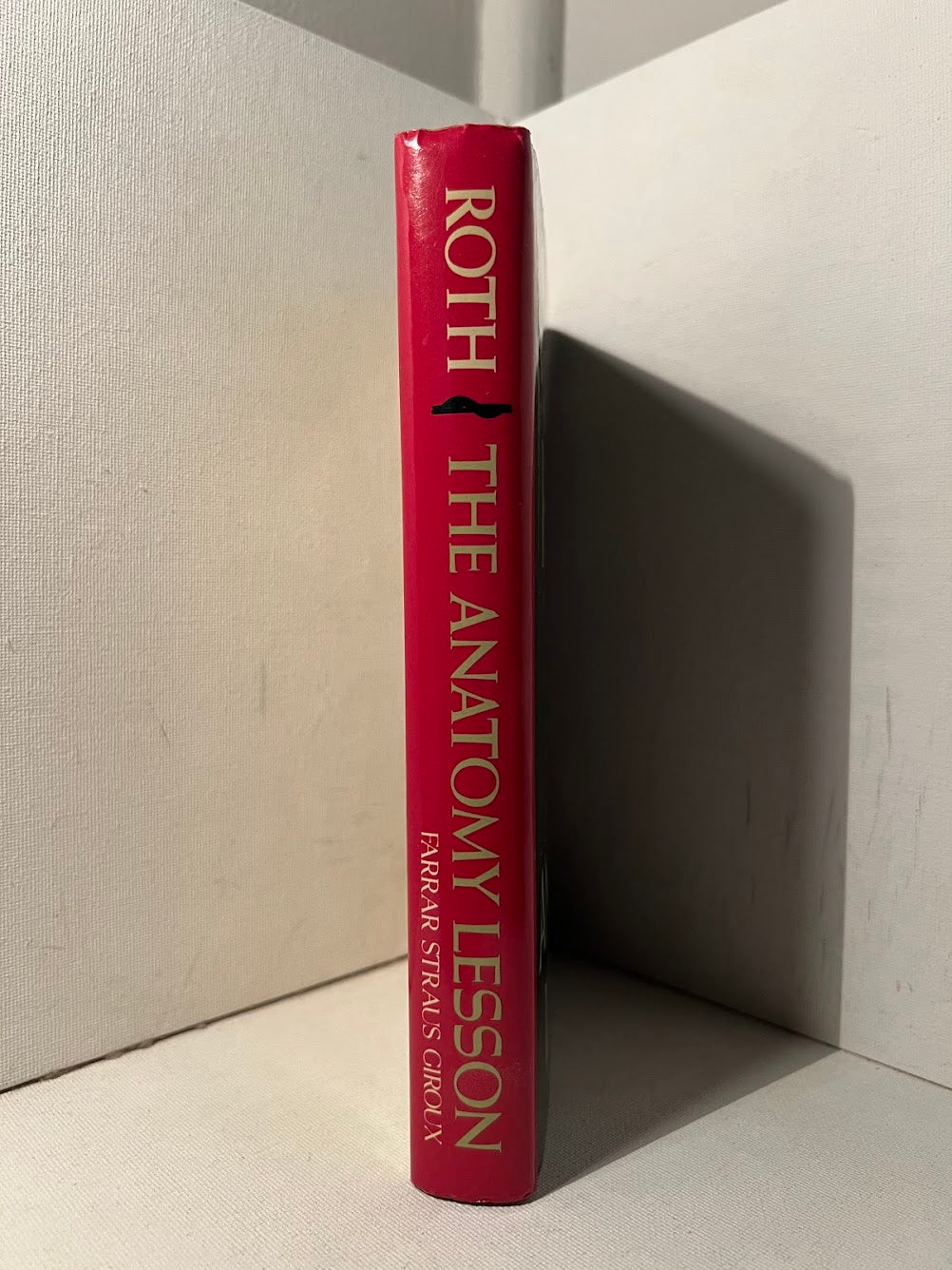 The Anatomy Lesson by Philip Roth