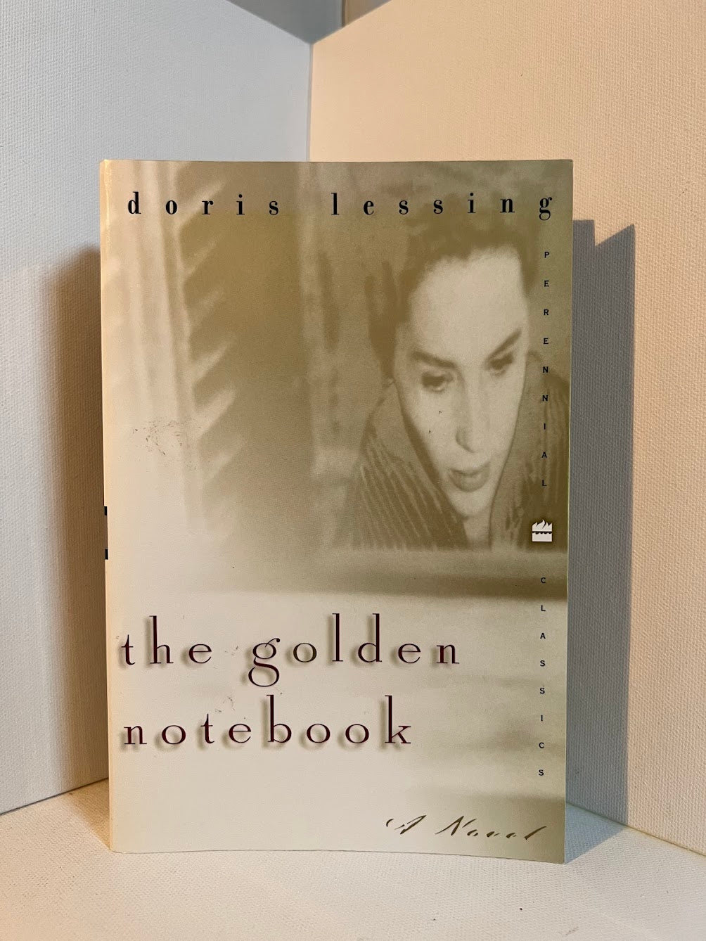 The Golden Notebook by Doris Lessing