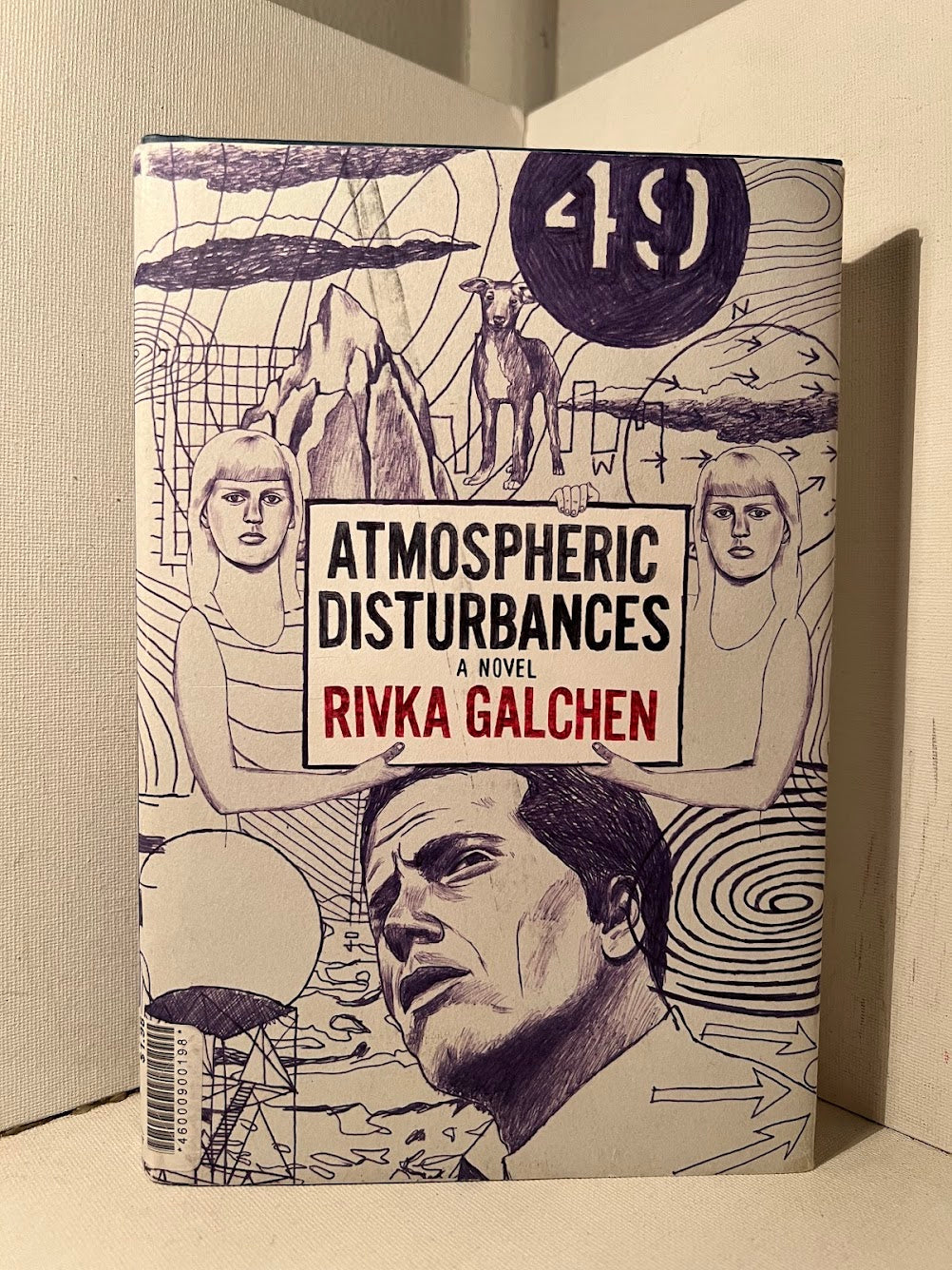 Atmospheric Disturbances by Rivka Galchen