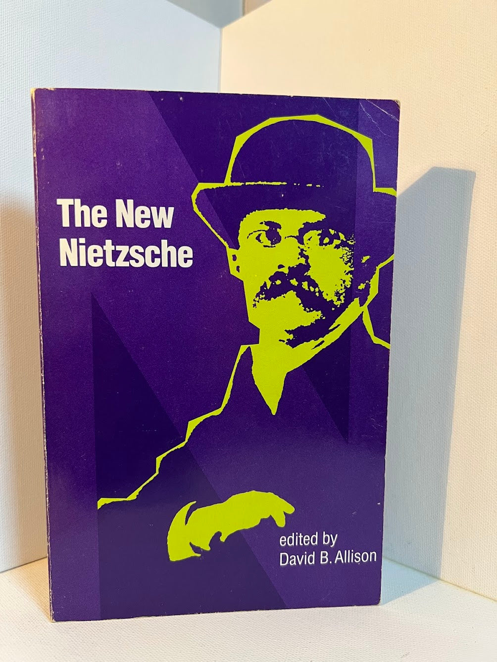 The New Nietzsche edited by David B. Allison