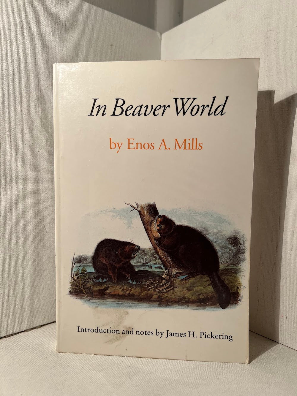 In Beaver World by Enos A. Mills